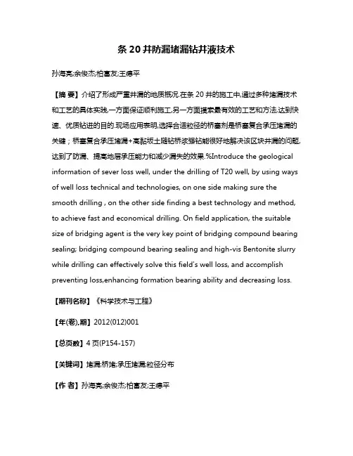条20井防漏堵漏钻井液技术