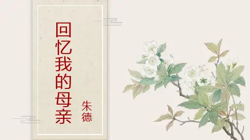 部编版八年级语文上册第二单元《回忆我的母亲》课件