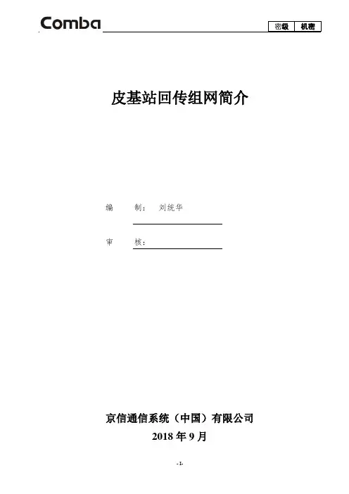 6.中国移动-皮基站回传组网简介