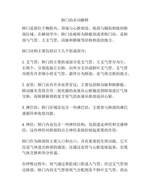 肺门的名词解释
