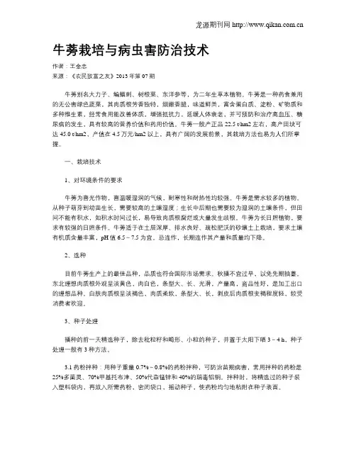 牛蒡栽培与病虫害防治技术