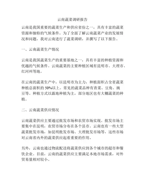 云南蔬菜调研报告