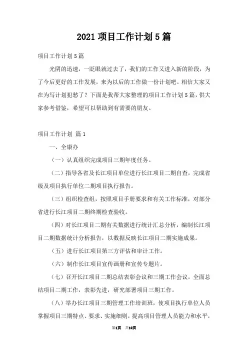 2021项目工作计划5篇