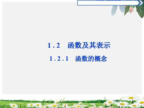 人教版必修1数学课件1.2.1 函数的概念精选ppt课件