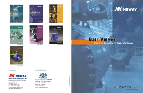 纽威阀门样本 Neway Valves
