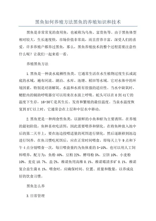 黑鱼如何养殖方法黑鱼的养殖知识和技术