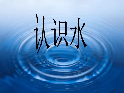 湘教版教材《认识水》PPT-教学课件1