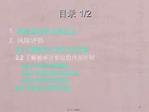 审计风险评估与应对