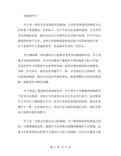 坚强的竹子作文范文