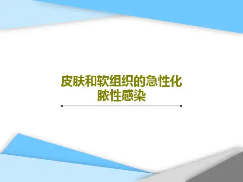皮肤和软组织的急性化脓性感染PPT共42页