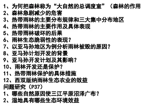 热带雨林