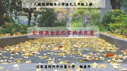 铺满金色巴掌的水泥路第2课时PPT部编本语文小学三年级上册第5课公开课教学课件