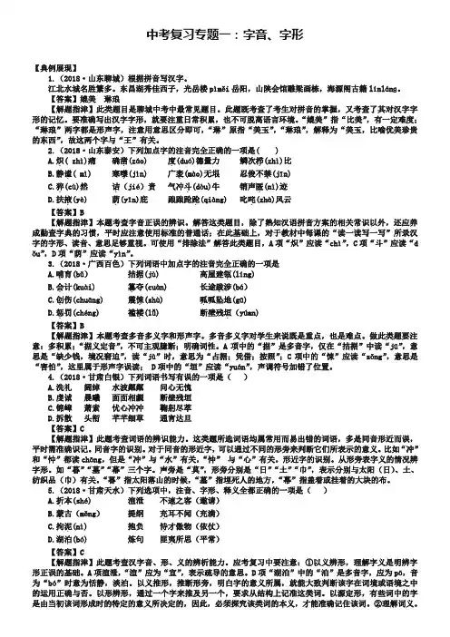 中考语文复习：《字音字形》专题讲练(含答案解析)