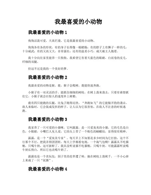 我最喜爱的小动物
