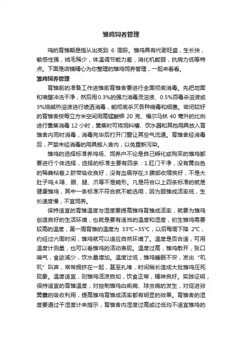 雏鸡饲养管理