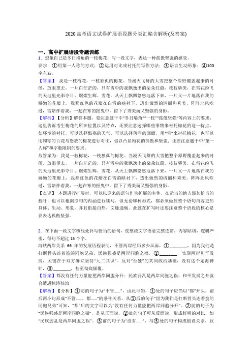 2020高考语文试卷扩展语段题分类汇编含解析(及答案)