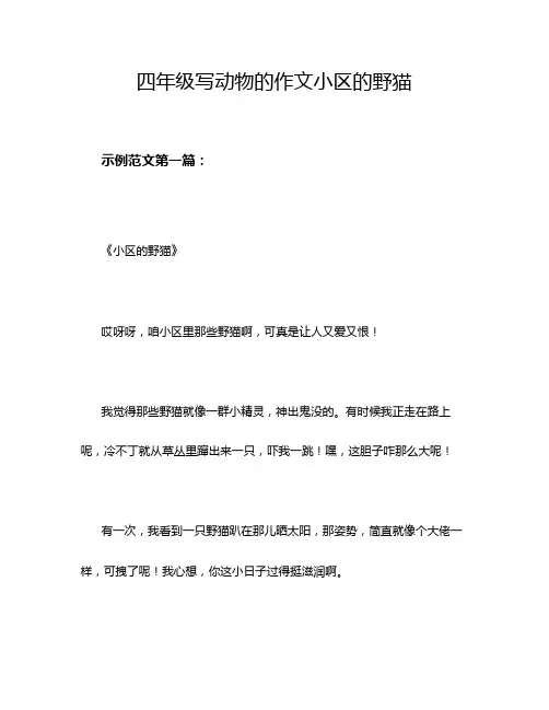四年级写动物的作文小区的野猫