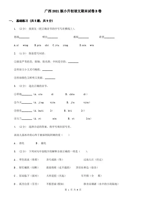广西2021版小升初语文期末试卷B卷(新版)