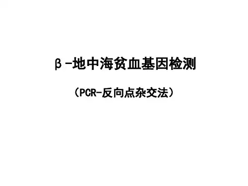 β地中海贫血基因检测PCR-反向点杂交法ppt课件