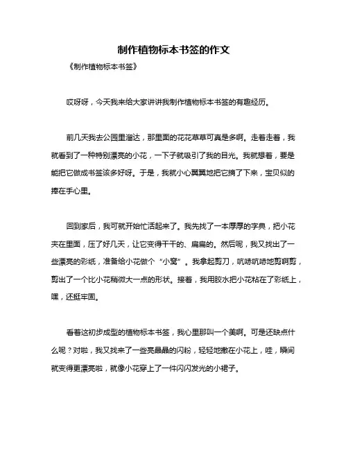 制作植物标本书签的作文