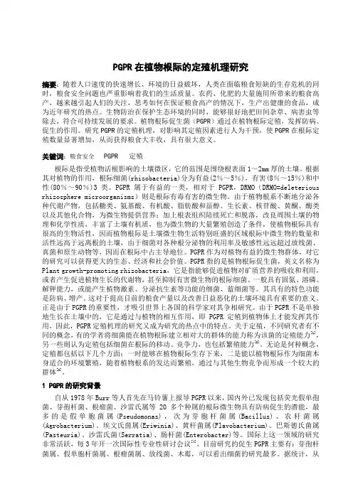 PGPR在根际定殖机理(文献综述)