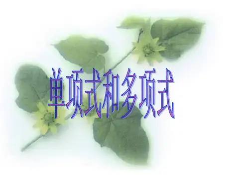 单项式和多项式