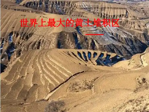 人教版人教版(八下)地理《第三节 世界最大的黄土堆积区——黄土高原》优秀PPT(26张)