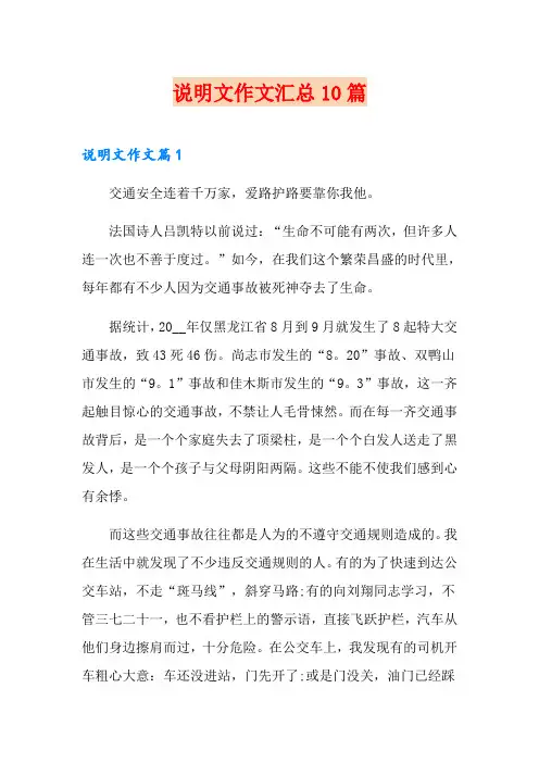 说明文作文汇总10篇