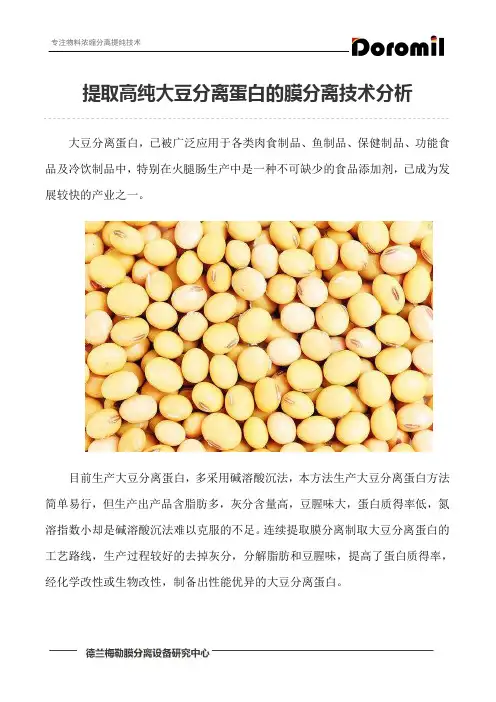 提取高纯大豆分离蛋白的膜分离技术分析