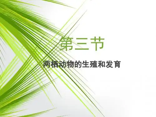 人教版生物八年级下册7.1.3两栖动物的生殖和发育共20张PPT