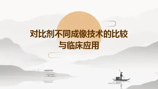 对比剂不同成像技术的比较与临床应用