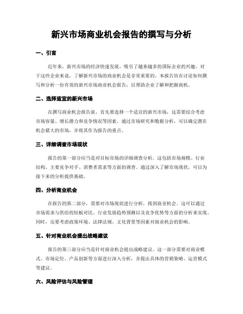 新兴市场商业机会报告的撰写与分析