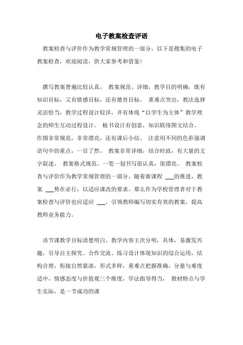 电子教案检查评语