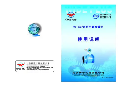 WP-EMF系列电磁流量计_普通