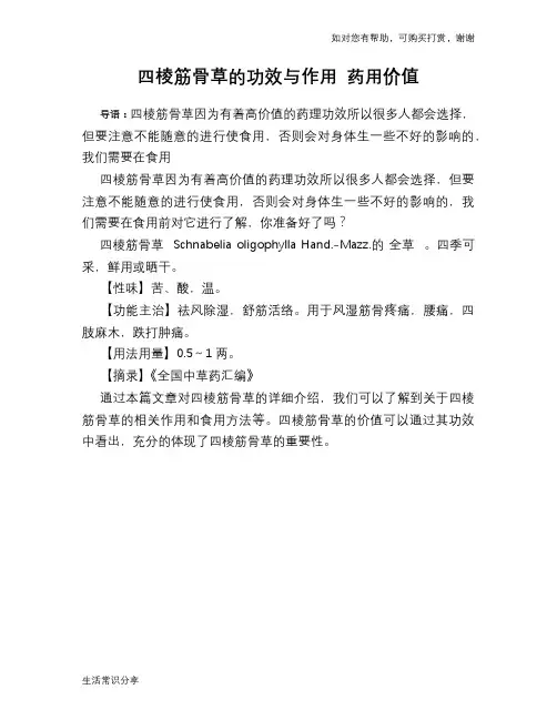四棱筋骨草的功效与作用 药用价值
