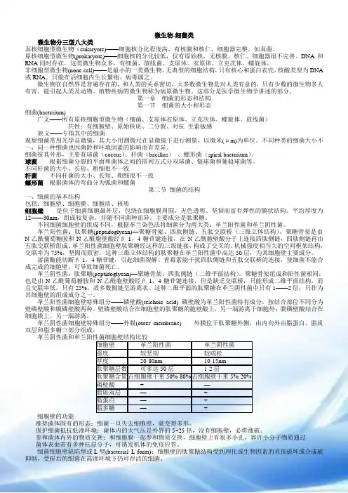 细菌总论---细菌知识归纳总结