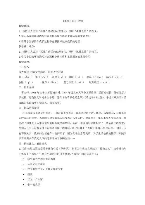 部编人教版初中语文九年级上册《第四单元阅读：16孤独之旅》公开课教案_5
