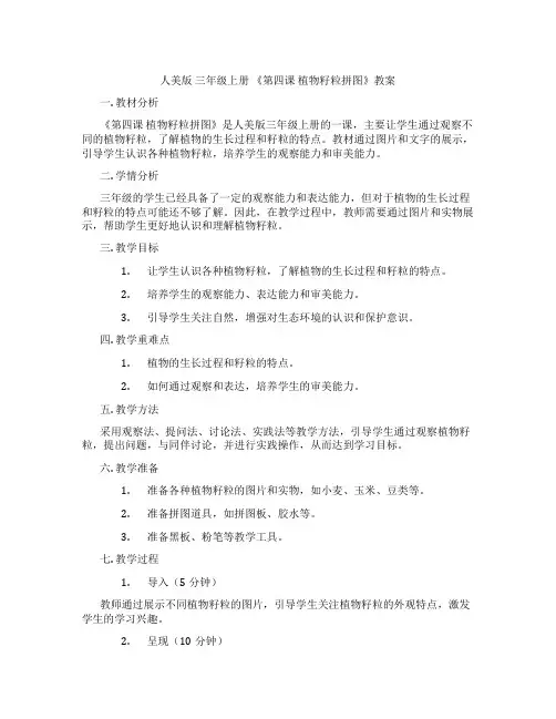 人美版 三年级上册 《第四课 植物籽粒拼图》教案