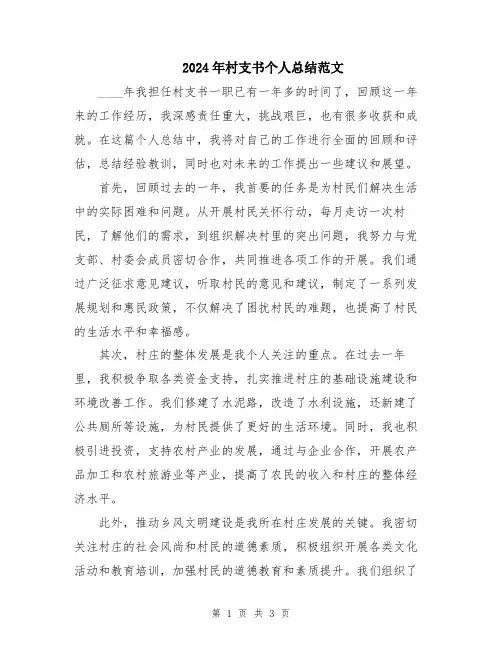 2024年村支书个人总结范文