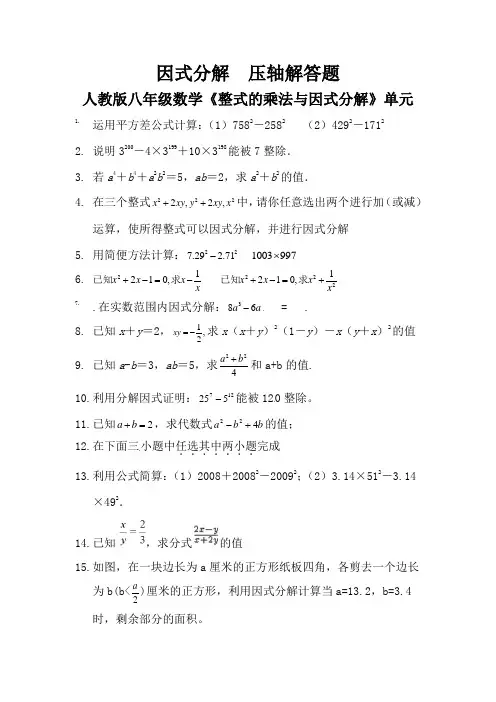 因式分解  解答题压轴题 人教版八年级数学《整式的乘法与因式分解》单元 (9)