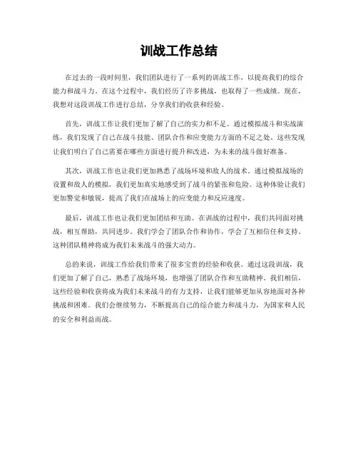 训战工作总结