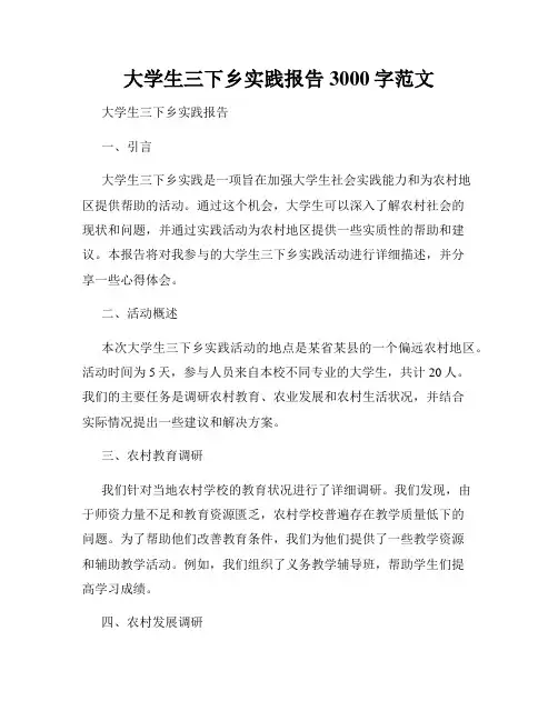 大学生三下乡实践报告3000字范文
