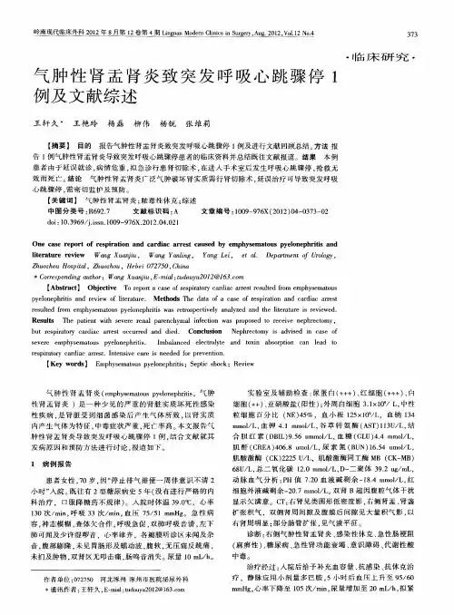 气肿性肾盂肾炎致突发呼吸心跳骤停1例及文献综述