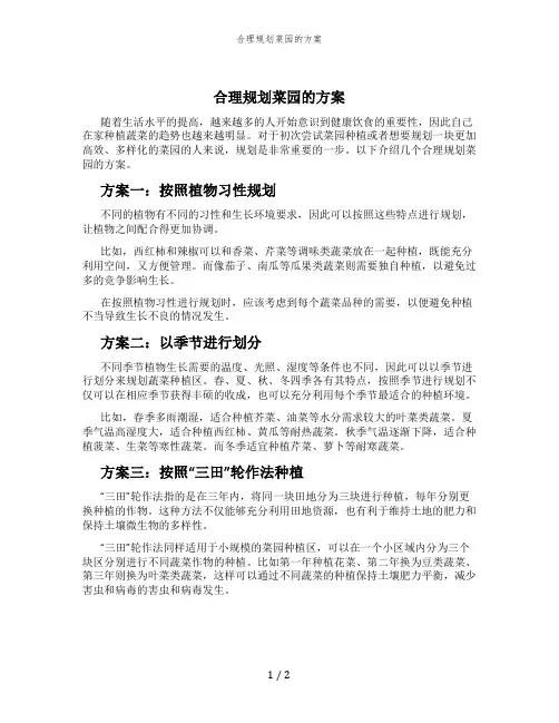 合理规划菜园的方案