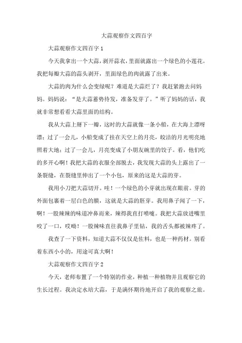 大蒜观察作文四百字