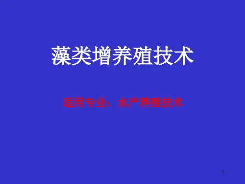 紫菜养殖.ppt