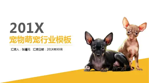 宠物行业汇报PPT模板
