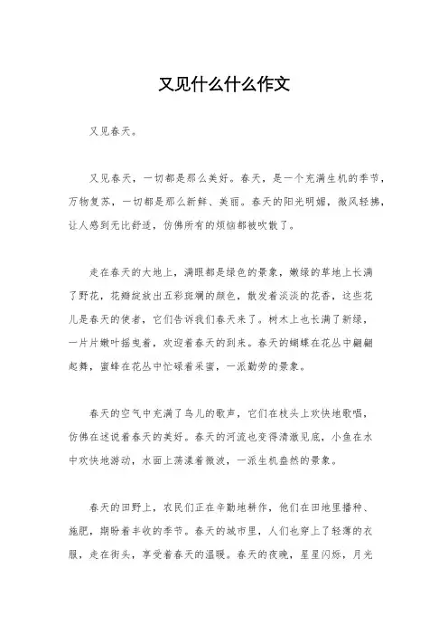又见什么什么作文