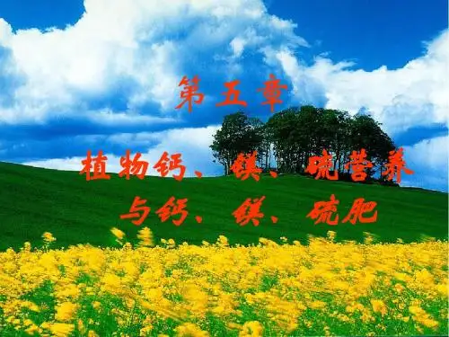 植物营养与肥料——植物钙、镁、硫营养与钙、镁、硫肥