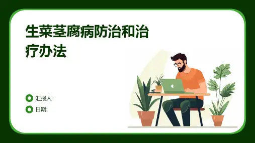 生菜茎腐病防治和治疗办法